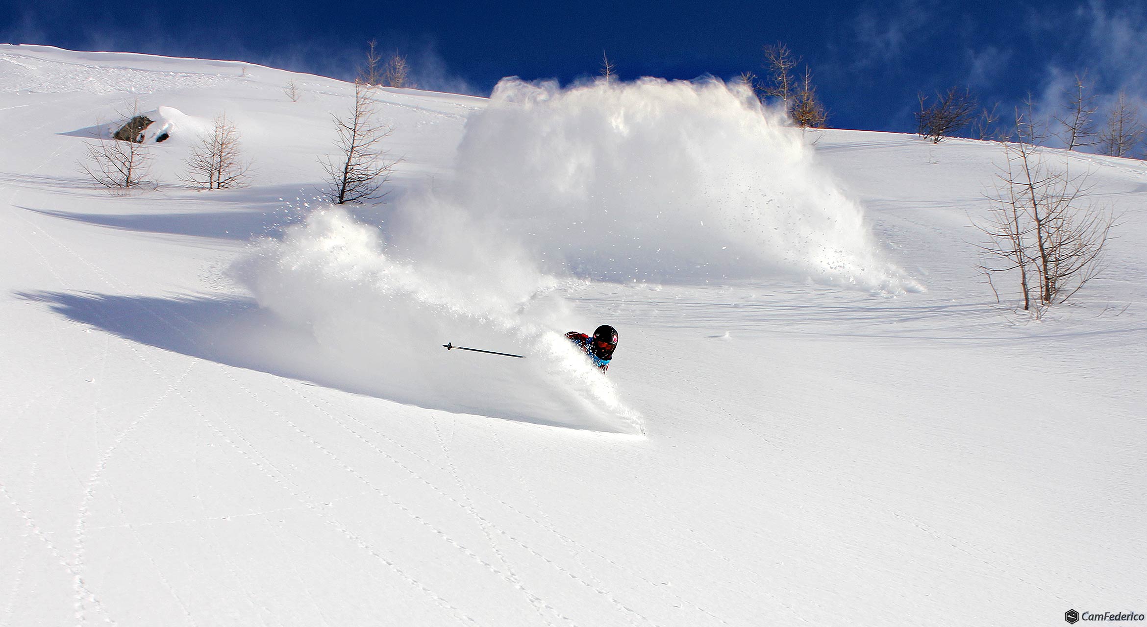 Freeride nel regno della polvere
